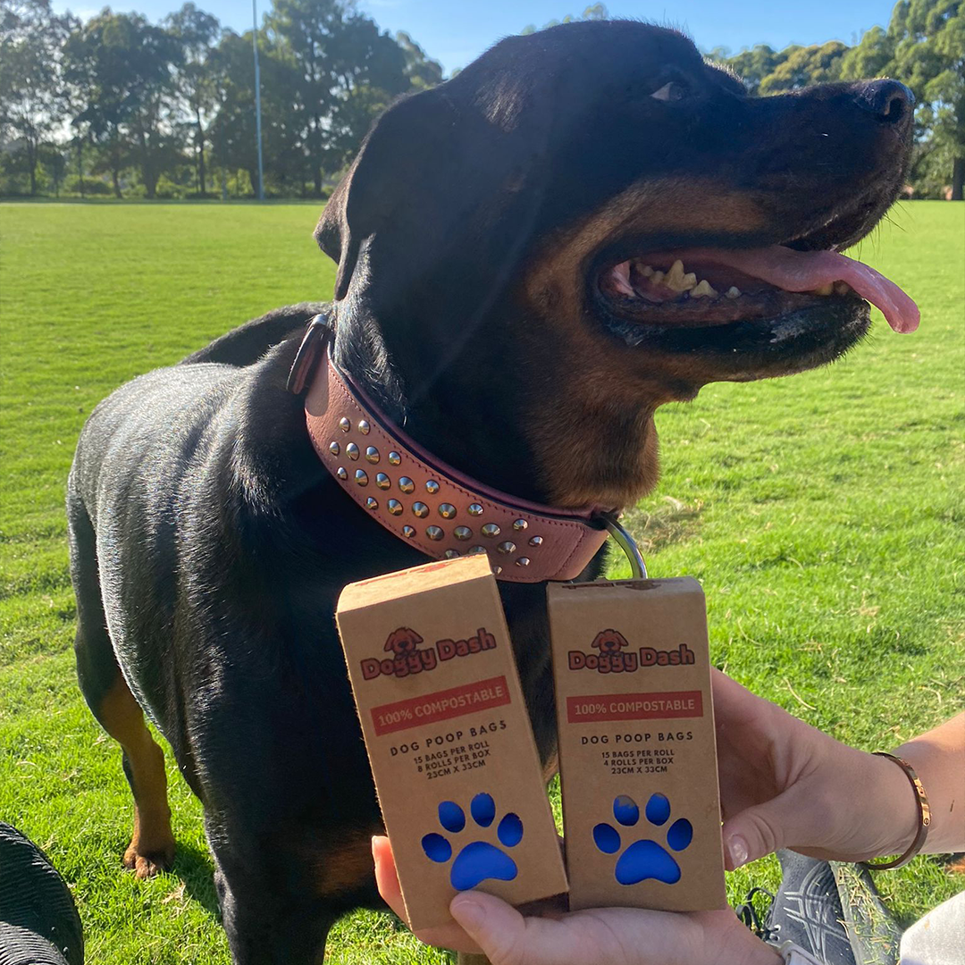 Dog Walking Bag 